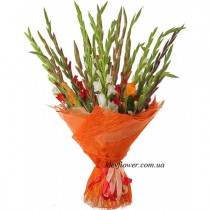 Bouquet of multycolor gladiolus
